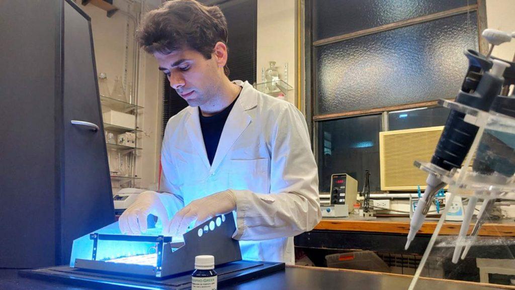 Un método con celulares permite medir un compuesto clave para la salud y el agro Un método con celulares permite medir un compuesto clave para la salud y el agro