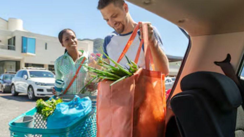 Cómo viajar de forma más sustentable sin gastar más dinero Cómo viajar de forma más sustentable sin gastar más dinero