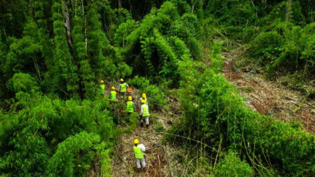 Por qué la guerra frena la agenda verde de las multinacionales en Argentina Por qué la guerra frena la agenda verde de las multinacionales en Argentina