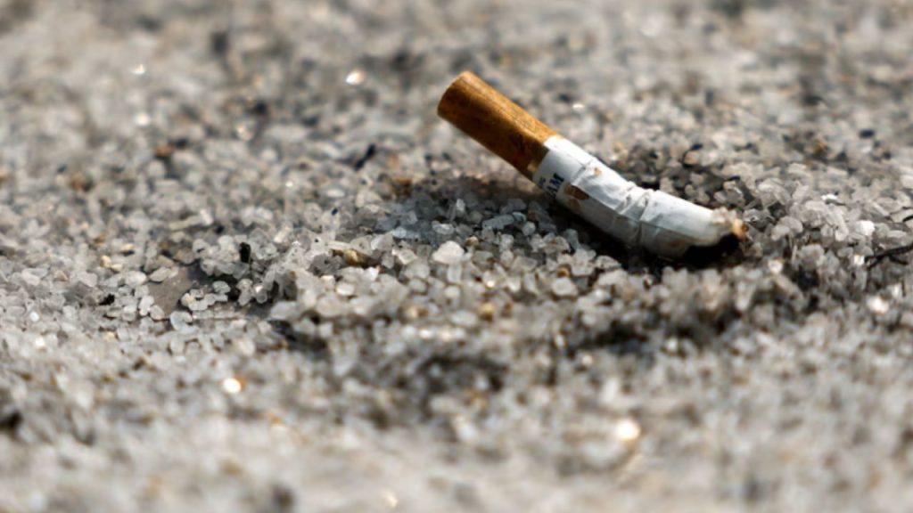 Colillas de cigarrillo: cómo impactan en el medioambiente después de 10 años Colillas de cigarrillo: cómo impactan en el medioambiente después de 10 años