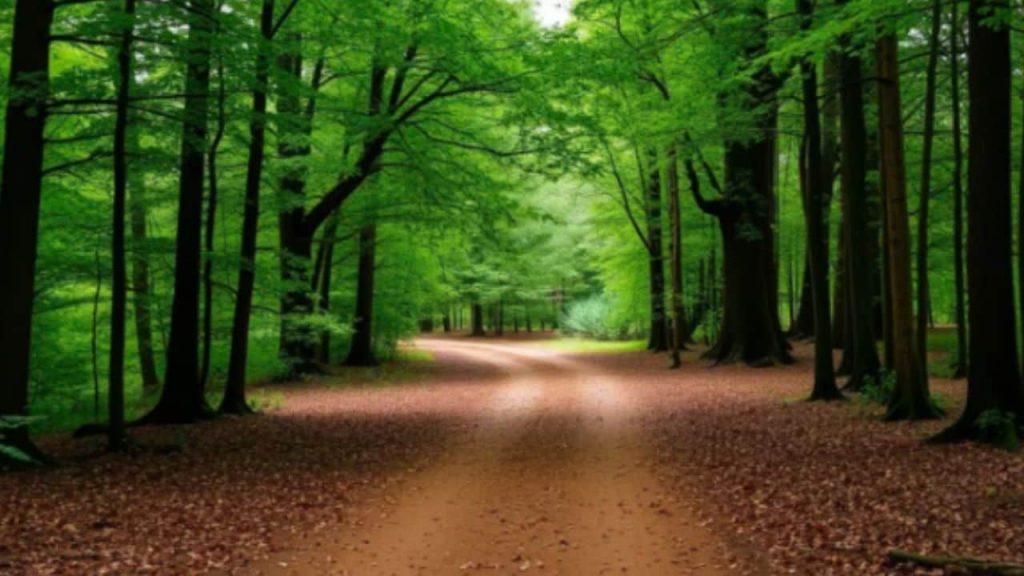 A 50 km de CABA: la Reserva Puertos Escobar, el plan gratis con lagunas para el próximo feriado A 50 km de CABA: la Reserva Puertos Escobar, el plan gratis con lagunas para el próximo feriado