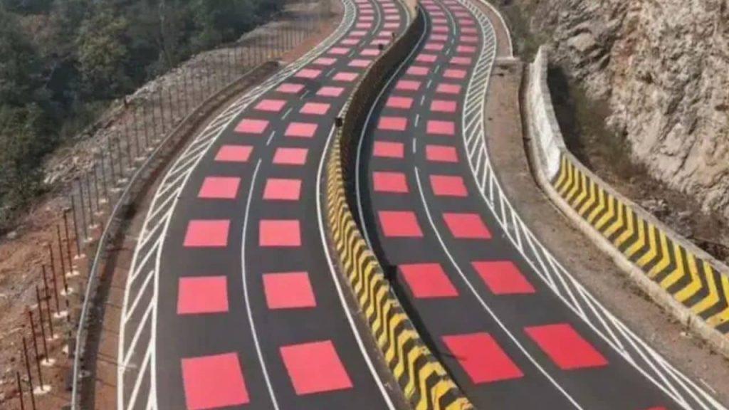 La primera ruta roja del mundo: cómo funciona la carretera que busca salvar animales La primera ruta roja del mundo: cómo funciona la carretera que busca salvar animales