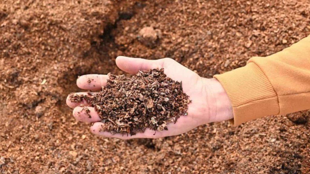 Empresas B: cinco firmas que nacieron en el interior y hoy se expanden en todo el país Empresas B: cinco firmas que nacieron en el interior y hoy se expanden en todo el país