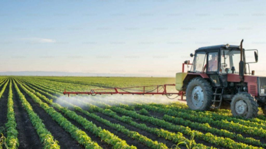 Alarma sanitaria: vinculan pesticidas con cáncer en jóvenes y crece la preocupación Alarma sanitaria: vinculan pesticidas con cáncer en jóvenes y crece la preocupación