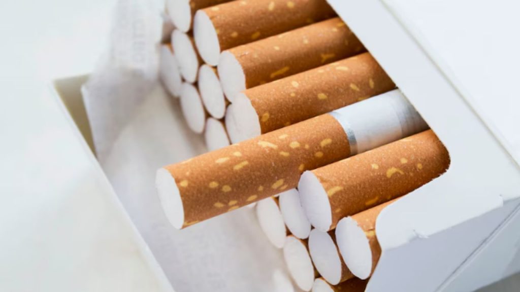 Estrategia «Net Positive»: Philip Morris invierte en restaurar bosques nativos en Salta Estrategia «Net Positive»: Philip Morris invierte en restaurar bosques nativos en Salta