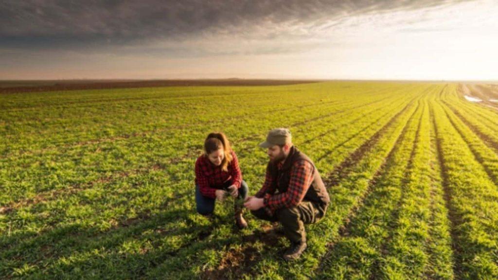 El plan de Arcor y Danone para convertir a Mastellone en el referente de la «economía verde» El plan de Arcor y Danone para convertir a Mastellone en el referente de la «economía verde»