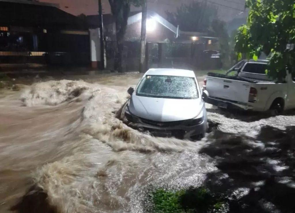 Inundaciones en Tucumán: tres personas murieron y hay pérdidas millonarias. El heroísmo de los voluntarios que salieron a rescatar animales Inundaciones en Tucumán: tres personas murieron y hay pérdidas millonarias. El heroísmo de los voluntarios que salieron a rescatar animales