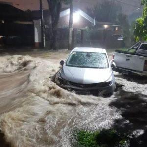 Inundaciones en Tucumán: tres personas murieron y hay pérdidas millonarias. El heroísmo de los voluntarios que salieron a rescatar animales Inundaciones en Tucumán: tres personas murieron y hay pérdidas millonarias. El heroísmo de los voluntarios que salieron a rescatar animales