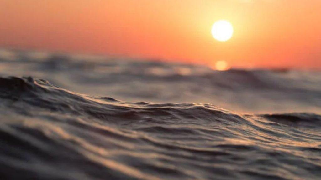 “Hito para la naturaleza”: el 10% de los océanos está oficialmente protegido “Hito para la naturaleza”: el 10% de los océanos está oficialmente protegido