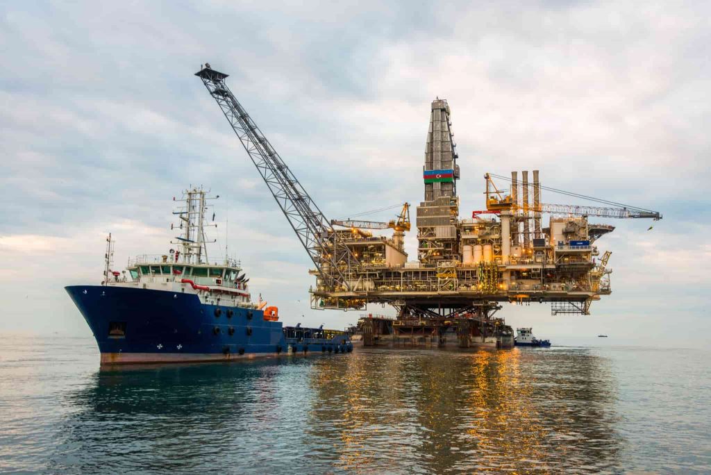 Peligro en el Mar Argentino: alertan que 3 megaproyectos de YPF amenazan el futuro de la ballena franca austral Peligro en el Mar Argentino: alertan que 3 megaproyectos de YPF amenazan el futuro de la ballena franca austral