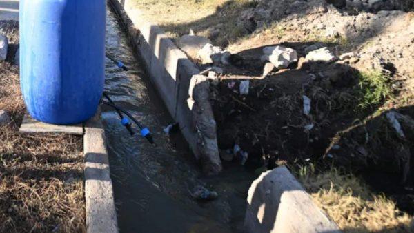 Un tambor plástico azul junto a una acequia o canal de riego de hormigón con mangueras conectadas hacia el flujo de agua