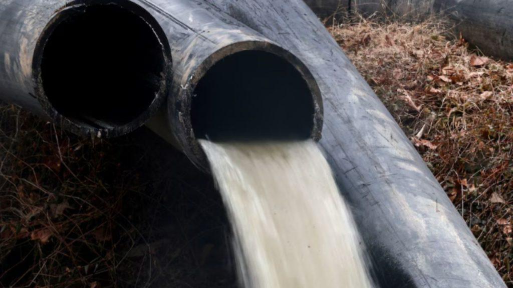 El río que abastece a Washington quedó al borde del colapso: combustible y químicos eternos desatan una crisis ambiental El río que abastece a Washington quedó al borde del colapso: combustible y químicos eternos desatan una crisis ambiental