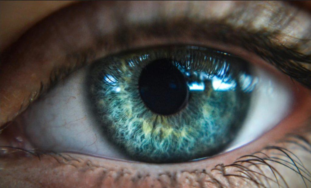 El experimento de Worldcoin que vende tu identidad: ¿cuál es el verdadero riesgo de entregar tu iris por dinero? El experimento de Worldcoin que vende tu identidad: ¿cuál es el verdadero riesgo de entregar tu iris por dinero?