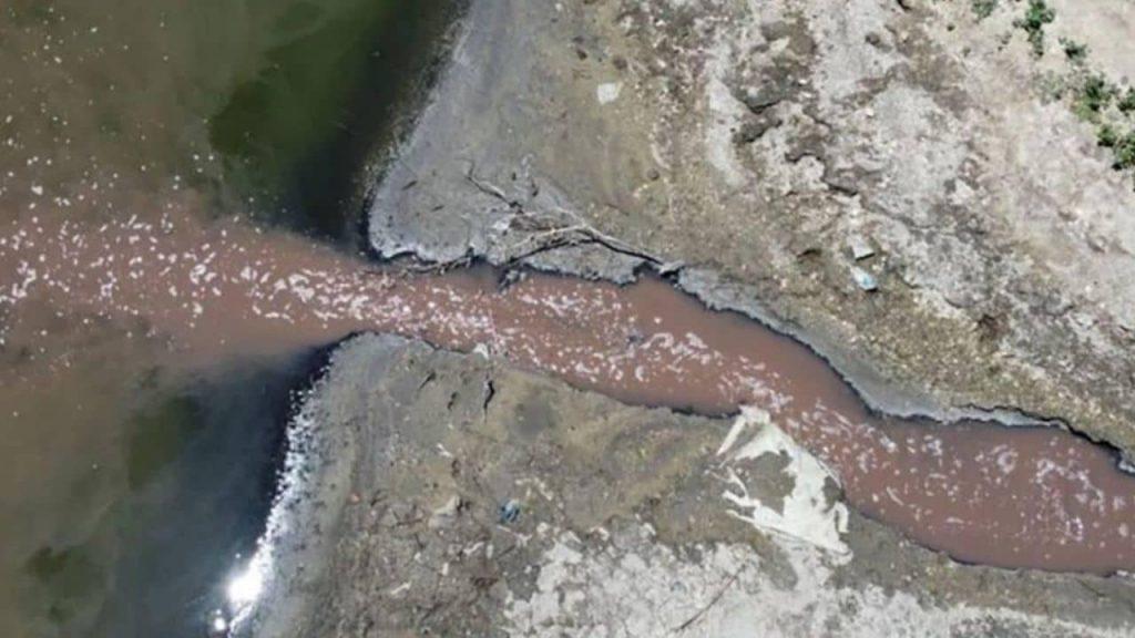 Contaminó un importante Río de Buenos Aires y lo pescaron: el presidente del frigorífico Absolon fue procesado Contaminó un importante Río de Buenos Aires y lo pescaron: el presidente del frigorífico Absolon fue procesado