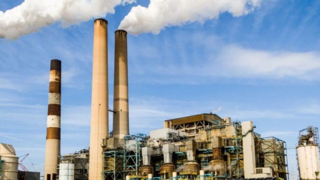 La apuesta verde que puede generar miles de millones: impulsan una ley para transformar el carbono en exportaciones La apuesta verde que puede generar miles de millones: impulsan una ley para transformar el carbono en exportaciones