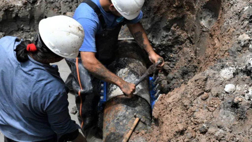 Escándalo en Punta Lara: denuncian que ABSA avanza con obras sobre una reserva natural “usurpada” Escándalo en Punta Lara: denuncian que ABSA avanza con obras sobre una reserva natural “usurpada”