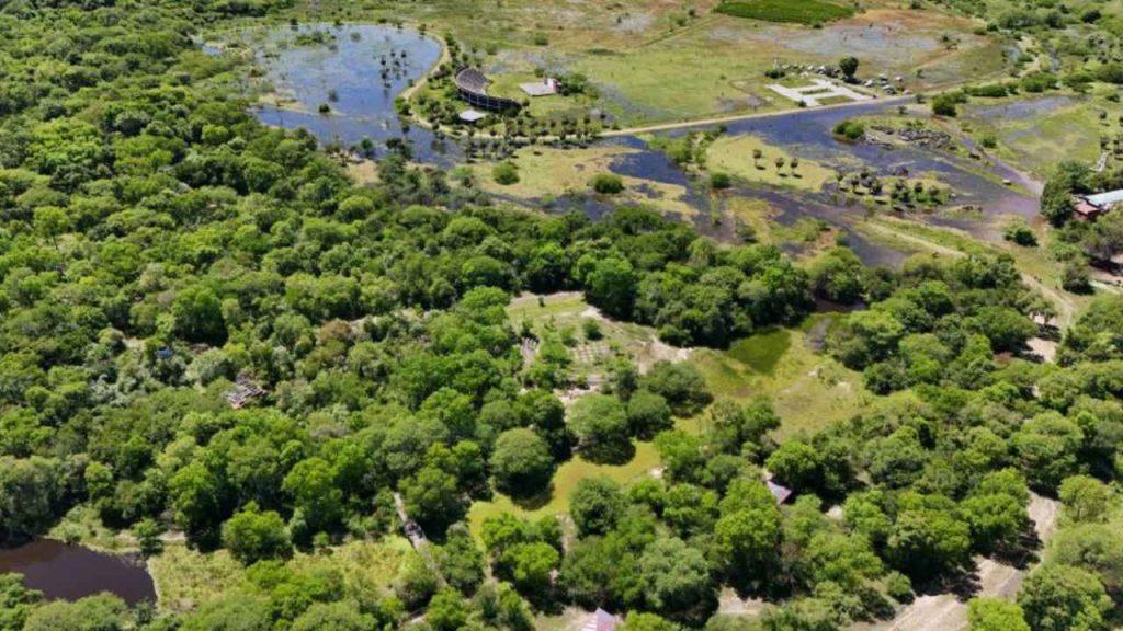 Presentan un amparo ambiental por el deterioro del Parque Caraguatá en Resistencia Presentan un amparo ambiental por el deterioro del Parque Caraguatá en Resistencia