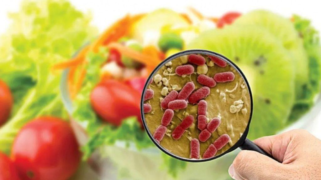 La amenaza en el plato: alimentos contaminados matan a más de 1,5 millones de personas al año La amenaza en el plato: alimentos contaminados matan a más de 1,5 millones de personas al año