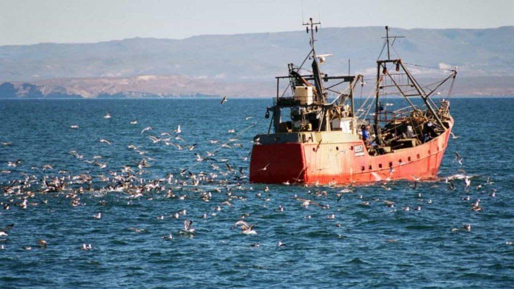 La batalla por el Mar Argentino: pesca ilegal, depredación y una polémica alianza con Estados Unidos La batalla por el Mar Argentino: pesca ilegal, depredación y una polémica alianza con Estados Unidos