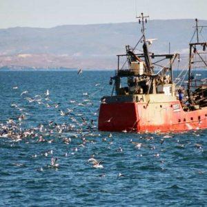 La batalla por el Mar Argentino: pesca ilegal, depredación y una polémica alianza con Estados Unidos La batalla por el Mar Argentino: pesca ilegal, depredación y una polémica alianza con Estados Unidos