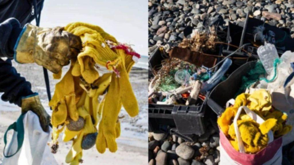 La basura no nace en la playa: un estudio revela que la pesca está detrás de la invasión de plásticos en Chubut La basura no nace en la playa: un estudio revela que la pesca está detrás de la invasión de plásticos en Chubut