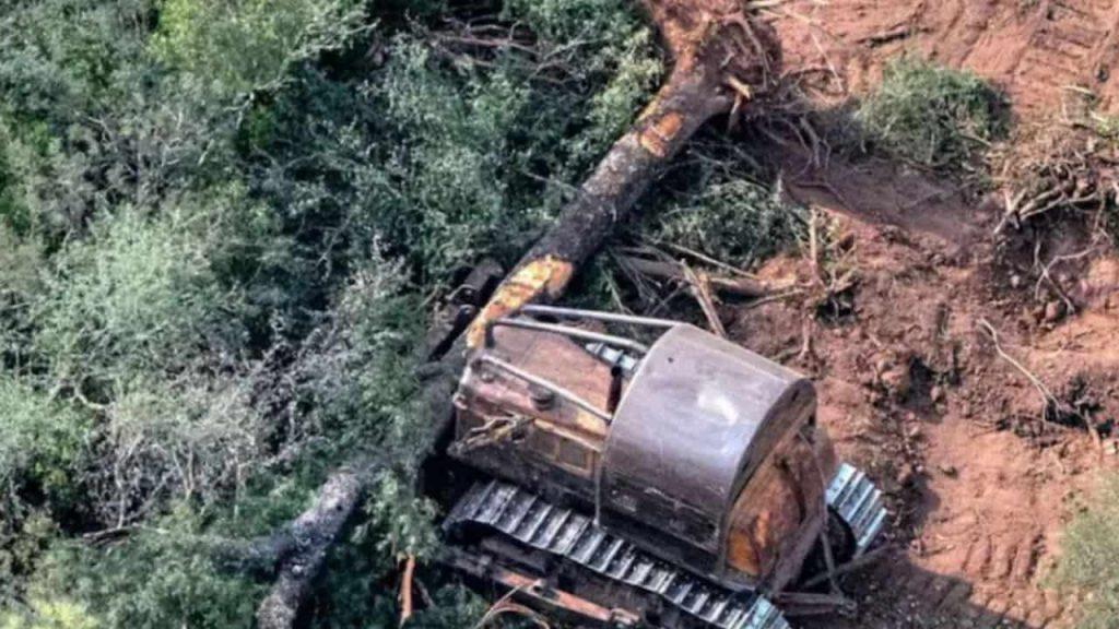 La Justicia le pone un freno al avance sobre los bosques del Chaco La Justicia le pone un freno al avance sobre los bosques del Chaco