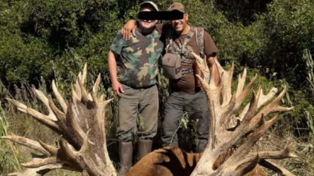 Pagó US$40.000 para cazar un ciervo y destapó una investigación por presunto tráfico de fauna en Entre Ríos Pagó US$40.000 para cazar un ciervo y destapó una investigación por presunto tráfico de fauna en Entre Ríos