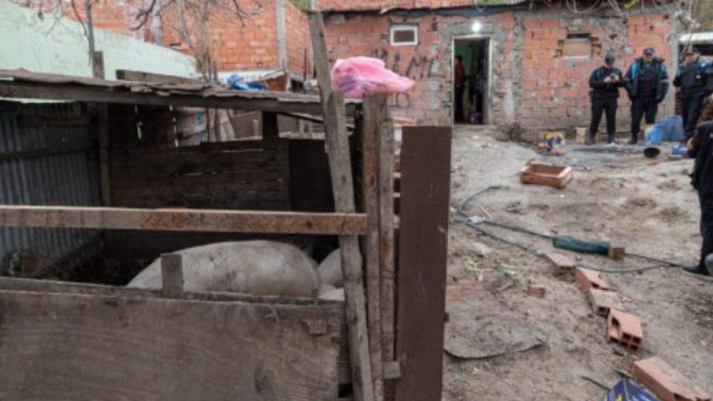 Clausuraron un criadero ilegal de cerdos en un barrio urbano y descubrieron venta clandestina de carne Clausuraron un criadero ilegal de cerdos en un barrio urbano y descubrieron venta clandestina de carne