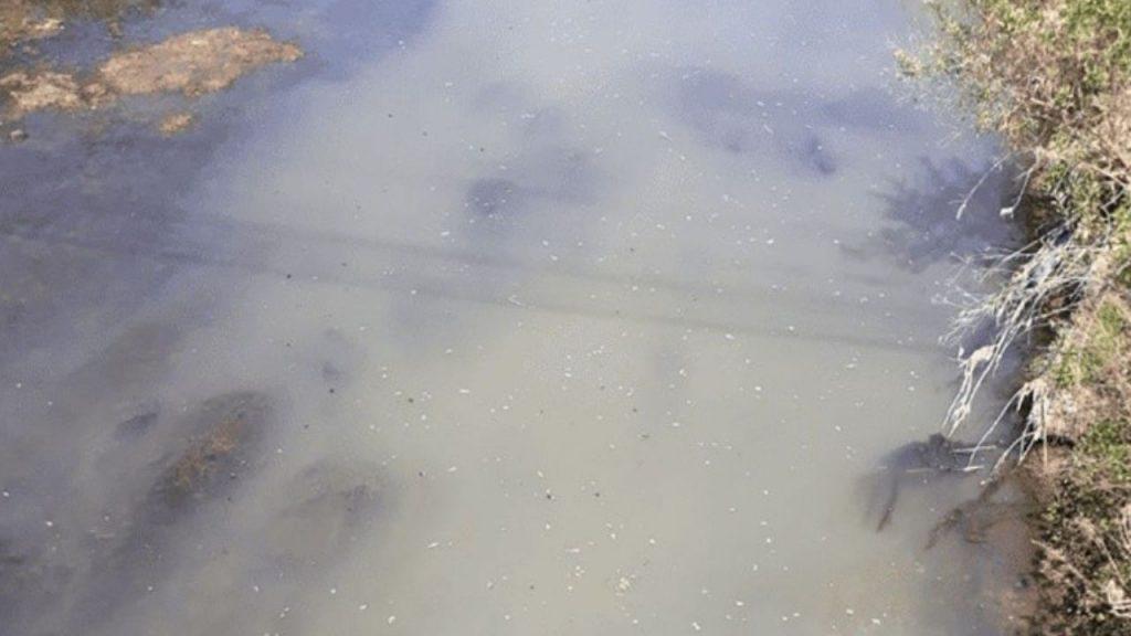“El arroyo es una cloaca”: presentan una denuncia penal por años de contaminación en el Ludueña “El arroyo es una cloaca”: presentan una denuncia penal por años de contaminación en el Ludueña