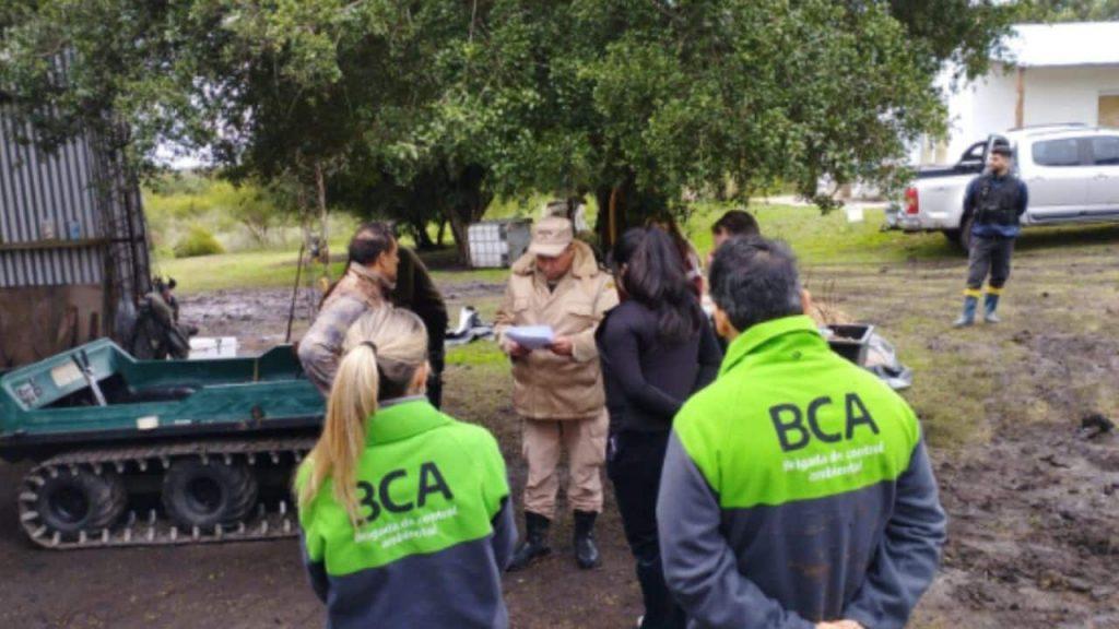 Pagaban hasta USD 40 mil por matar ciervos en Entre Ríos y ofrecían servicios premium a extranjeros Pagaban hasta USD 40 mil por matar ciervos en Entre Ríos y ofrecían servicios premium a extranjeros