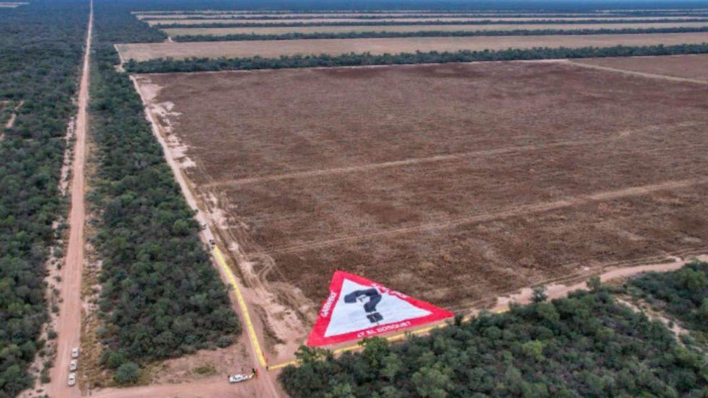 Multa récord y audiencia clave por el mayor desmonte ilegal del país: la Justicia exige reparar más de 11.000 hectáreas arrasadas Multa récord y audiencia clave por el mayor desmonte ilegal del país: la Justicia exige reparar más de 11.000 hectáreas arrasadas