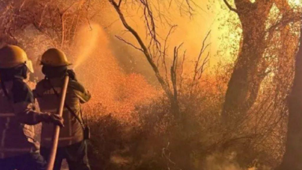Cafayate, en alerta: el fuego ya arrasó más de 200 hectáreas y declaran la emergencia ambiental Cafayate, en alerta: el fuego ya arrasó más de 200 hectáreas y declaran la emergencia ambiental