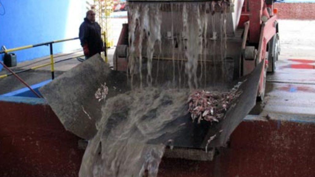 Causa Coomarpes: denuncian una presunta trama de contaminación y apuntan contra años de controles fallidos Causa Coomarpes: denuncian una presunta trama de contaminación y apuntan contra años de controles fallidos