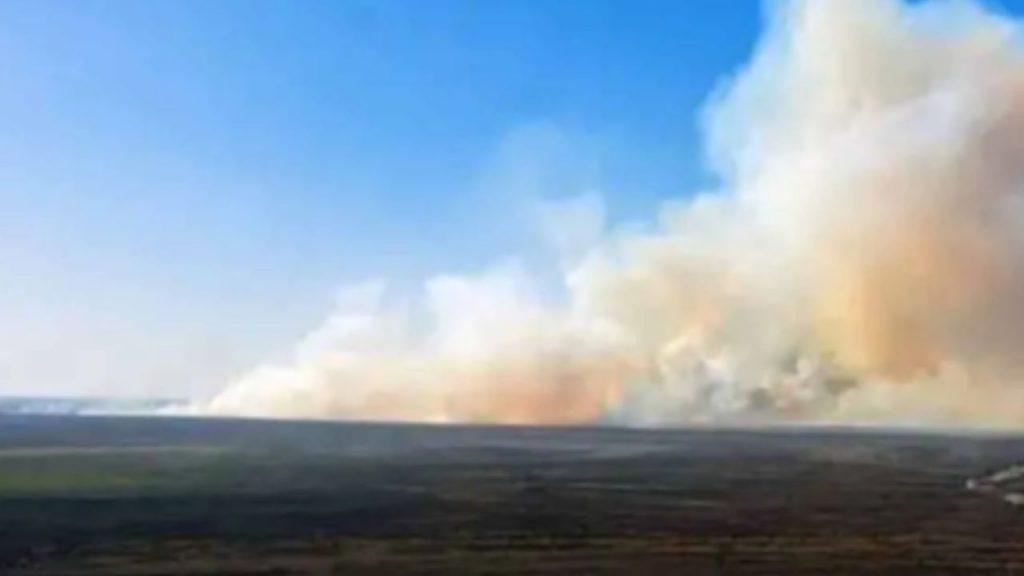 Multa por incendiar un humedal: sancionan a propietarios rurales por una quema ilegal en Entre Ríos Multa por incendiar un humedal: sancionan a propietarios rurales por una quema ilegal en Entre Ríos
