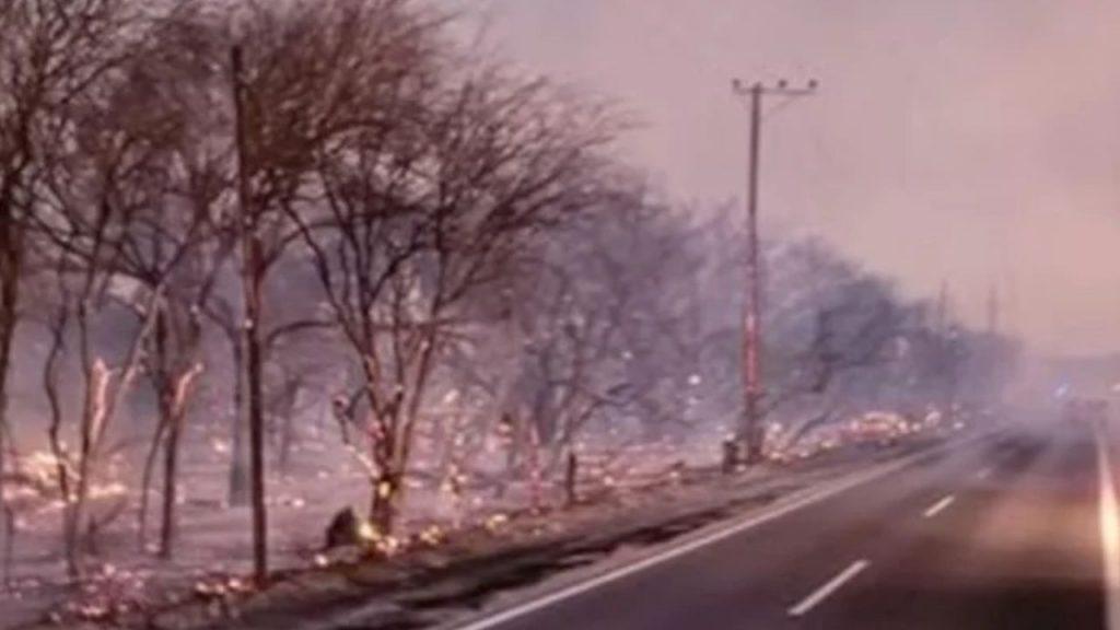 Sospechan que los incendios en Cafayate fueron intencionales: la Justicia busca a los responsables Sospechan que los incendios en Cafayate fueron intencionales: la Justicia busca a los responsables