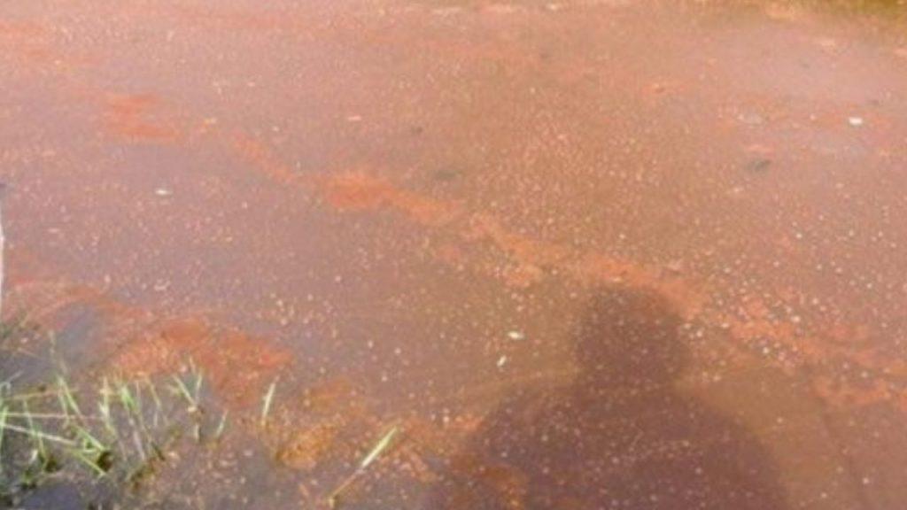 La Justicia le da un respiro al dueño de los jugos Citric en una causa por presunta contaminación de un arroyo entrerriano La Justicia le da un respiro al dueño de los jugos Citric en una causa por presunta contaminación de un arroyo entrerriano