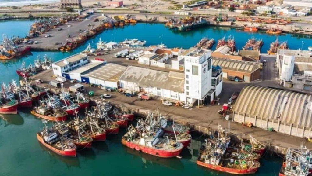 De la contaminación al negocio verde: científicos buscan convertir residuos grasos del puerto en bioplásticos biodegradables De la contaminación al negocio verde: científicos buscan convertir residuos grasos del puerto en bioplásticos biodegradables
