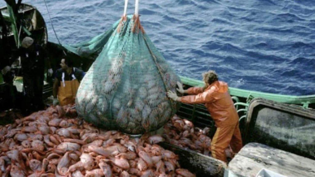 Mar Argentino: denuncian que barcos extranjeros sacan hasta cuatro veces más pescado que la industria nacional Mar Argentino: denuncian que barcos extranjeros sacan hasta cuatro veces más pescado que la industria nacional