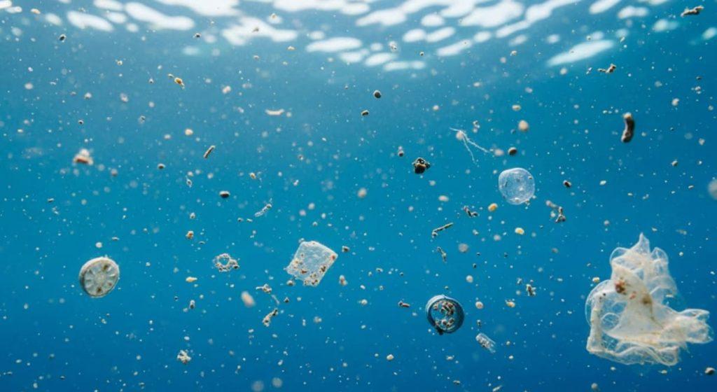Las algas podrían estar acelerando la degradación del plástico en ríos y lagos Las algas podrían estar acelerando la degradación del plástico en ríos y lagos