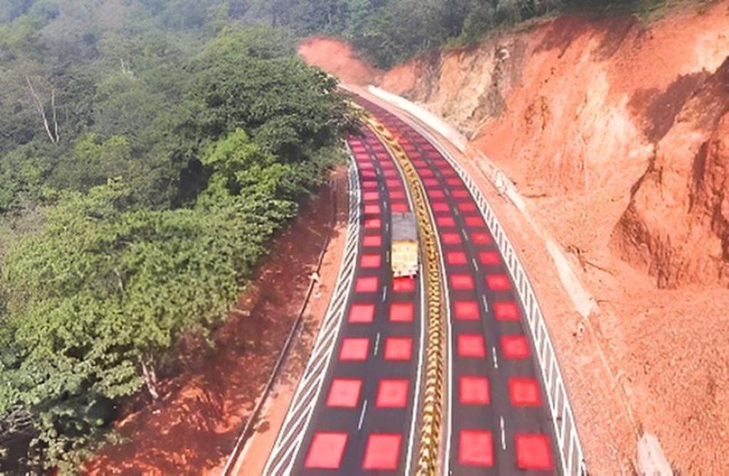 India aplicará la psicología del color en las carreteras para evitar el atropello de animales silvestres India aplicará la psicología del color en las carreteras para evitar el atropello de animales silvestres