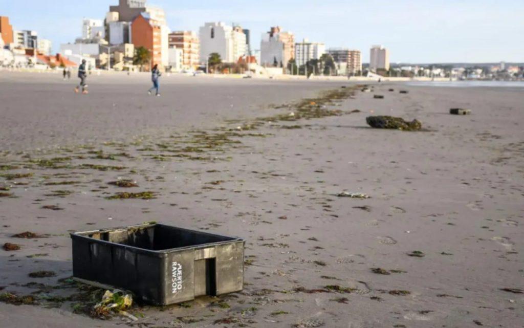 Encontraron más de 700 cajones pesqueros en las playas de Puerto Madryn y crece el reclamo por controles Encontraron más de 700 cajones pesqueros en las playas de Puerto Madryn y crece el reclamo por controles