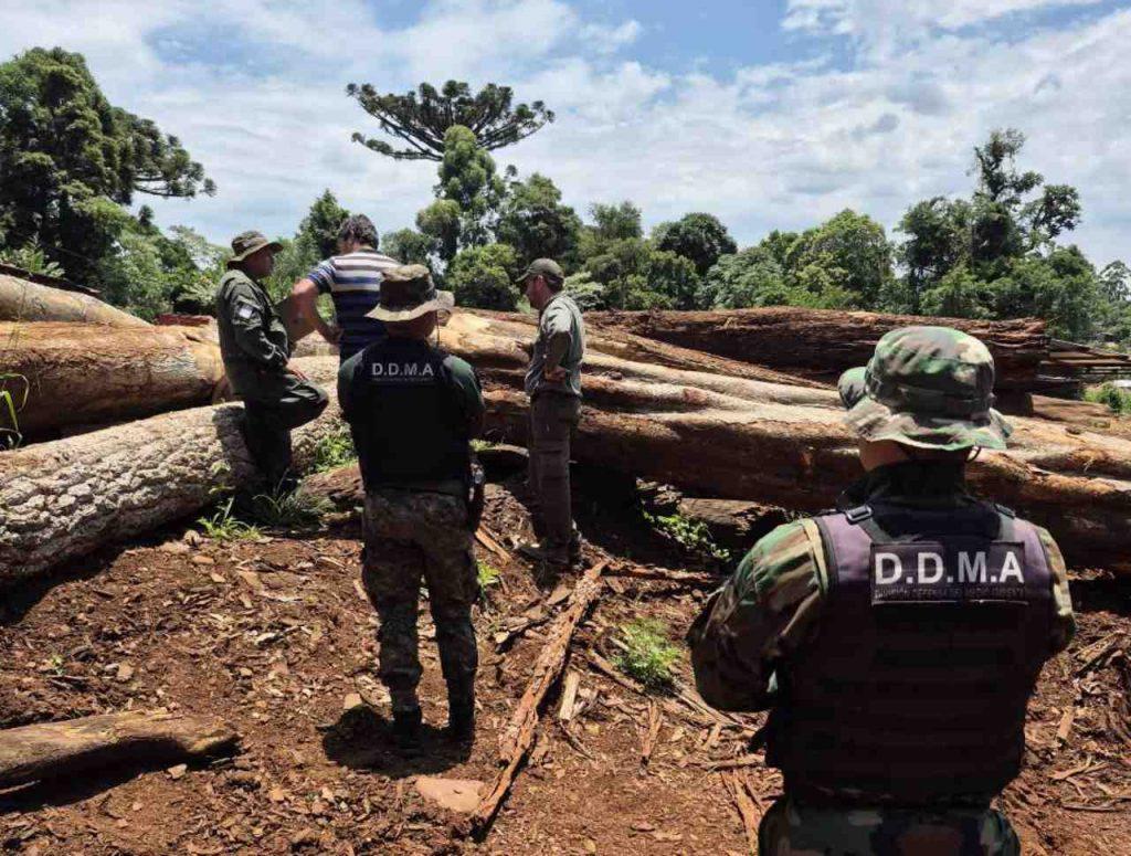 Misiones endurece las medidas contra los infractores ambientales: perderán permisos y beneficios Misiones endurece las medidas contra los infractores ambientales: perderán permisos y beneficios