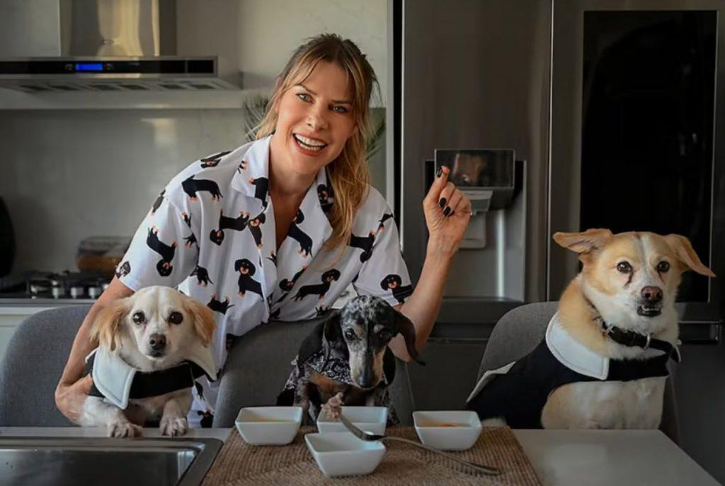 Cómo es el polémico proyecto de Karen Reichardt para regular criaderos de perros y gatos Cómo es el polémico proyecto de Karen Reichardt para regular criaderos de perros y gatos