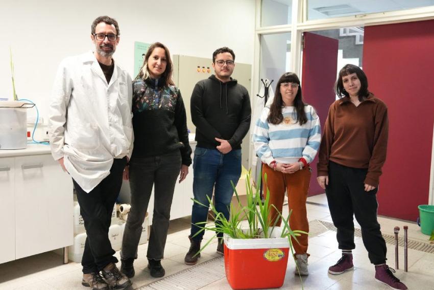 Investigadores de la UNSAM trabajan en el desarrollo de un método amigable con el ambiente para filtrar contaminantes persistentes y recuperar la biodiversidad del lugar.. Imagen: UNSAM