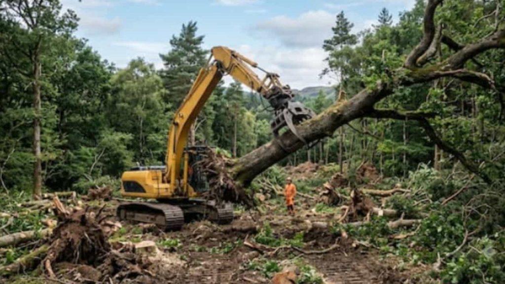 Quiso hacer un camino para sus caballos, terminó destruyendo un río protegido y tuvo que pagar una multa millonaria Quiso hacer un camino para sus caballos, terminó destruyendo un río protegido y tuvo que pagar una multa millonaria
