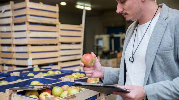 Trabajador revisando una caja de manzanas frente a palets de mercadería paletizada lista para su distribución