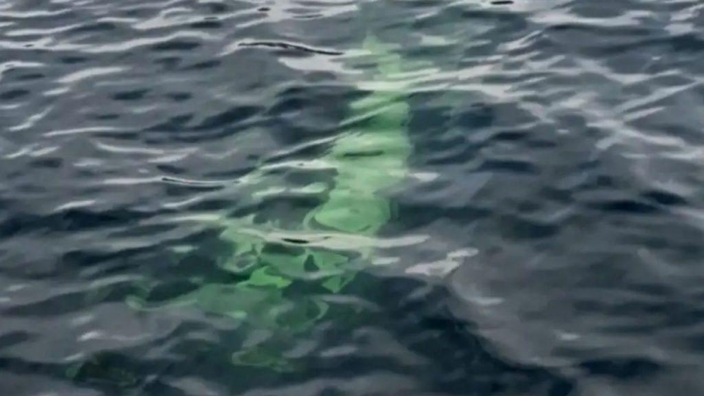 Una camioneta apareció sumergida en un lago de Chubut y preocupa el impacto ambiental y el paradero de los ocupantes Una camioneta apareció sumergida en un lago de Chubut y preocupa el impacto ambiental y el paradero de los ocupantes