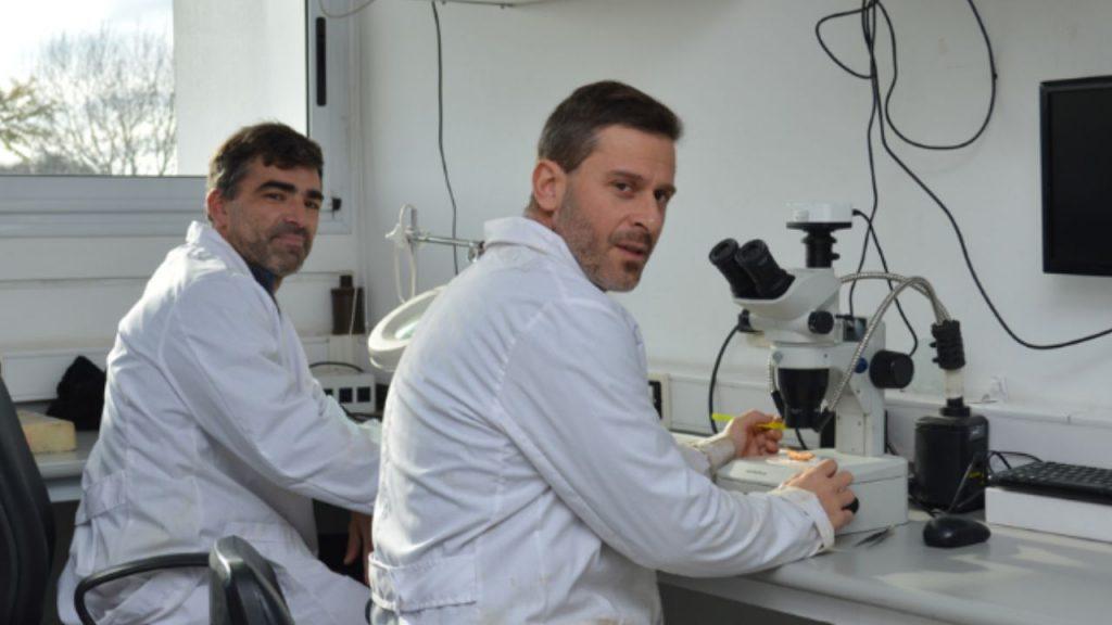 Un inédito monitoreo del Conicet revela cómo cambian los peces del Río de la Plata Un inédito monitoreo del Conicet revela cómo cambian los peces del Río de la Plata