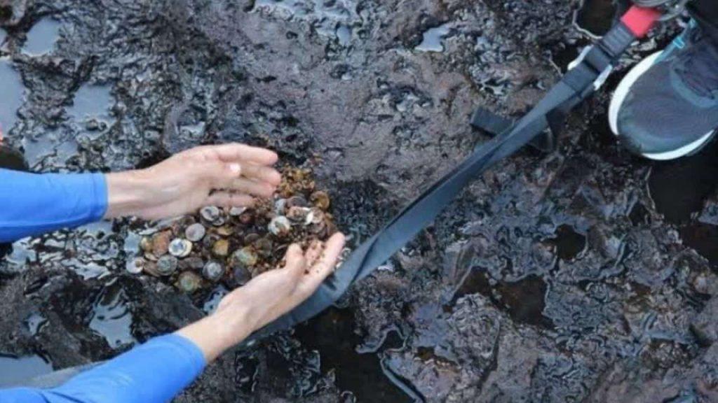 Arrojar monedas en las Cataratas sigue contaminando el río Iguazú pese a la crecida del agua Arrojar monedas en las Cataratas sigue contaminando el río Iguazú pese a la crecida del agua
