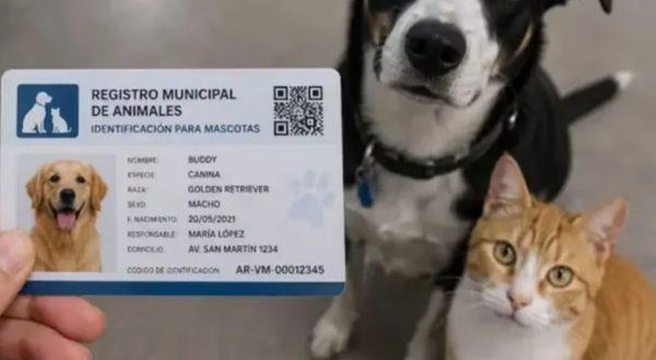 una mano agarra un DNI con una foto de un perro. Detrás, un gato y un perro miran fijo.